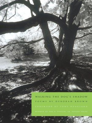cover image of Walking the Dog's Shadow